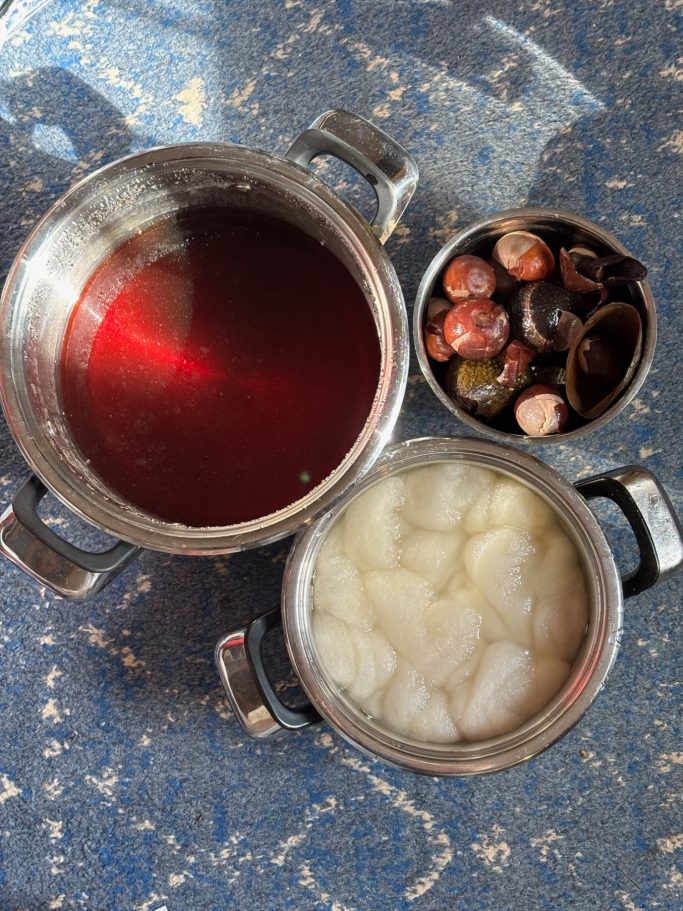 a pot of avocado dye a pot of soaking wool and a bowl of avocado pits and skins