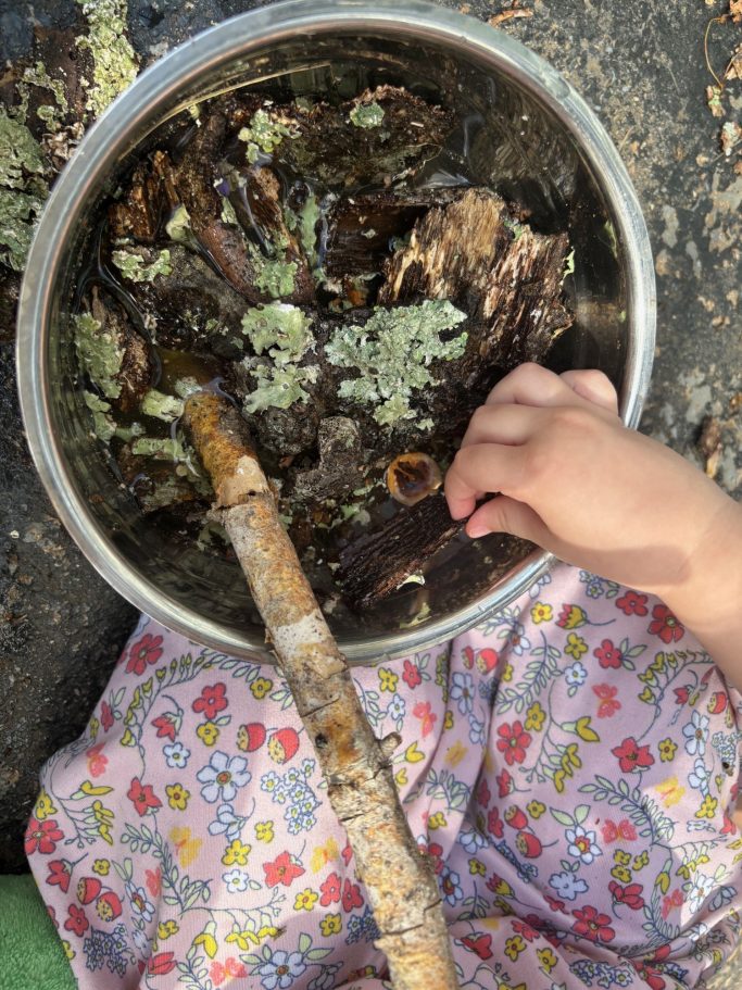 a bowl of lichens